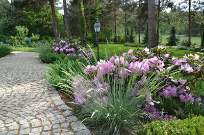 OGRODY ŚWIATA - projektowanie, zakładanie i pielęgnacja ogrodów